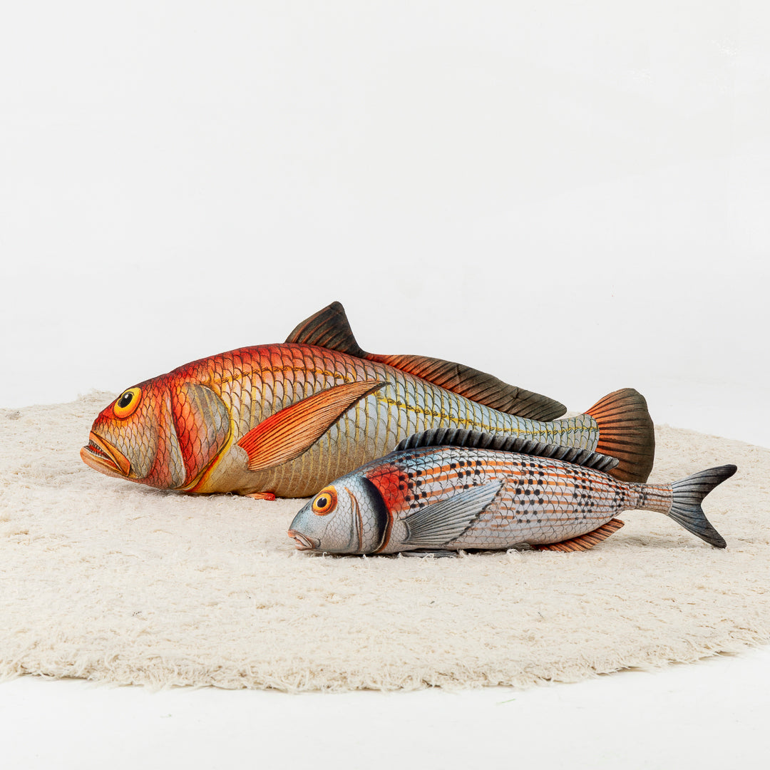 Pez de Salón — Almohadón decorativo