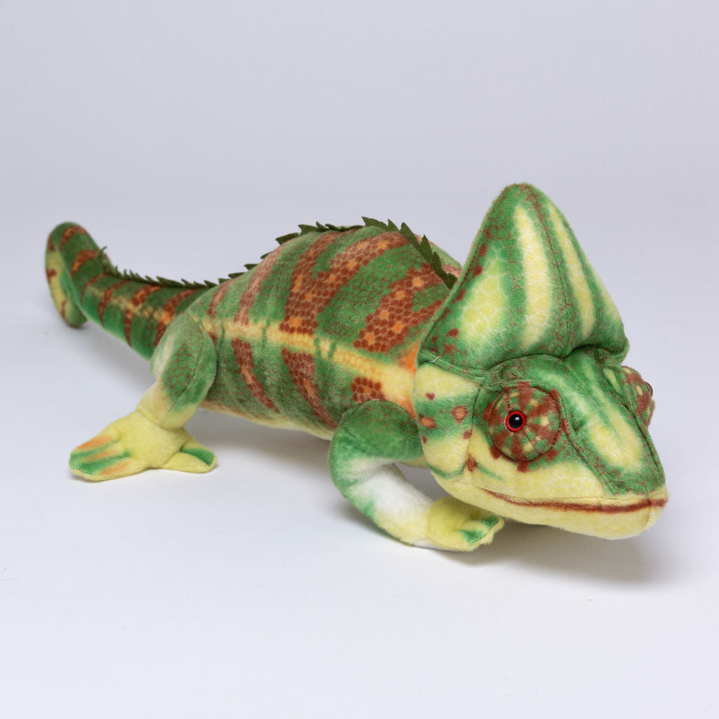 Camaleon de costado