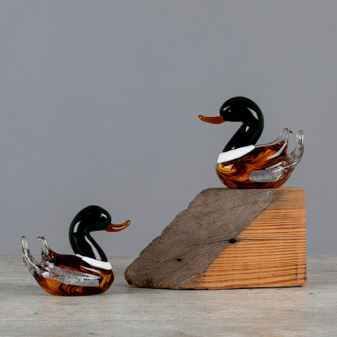 Patitos