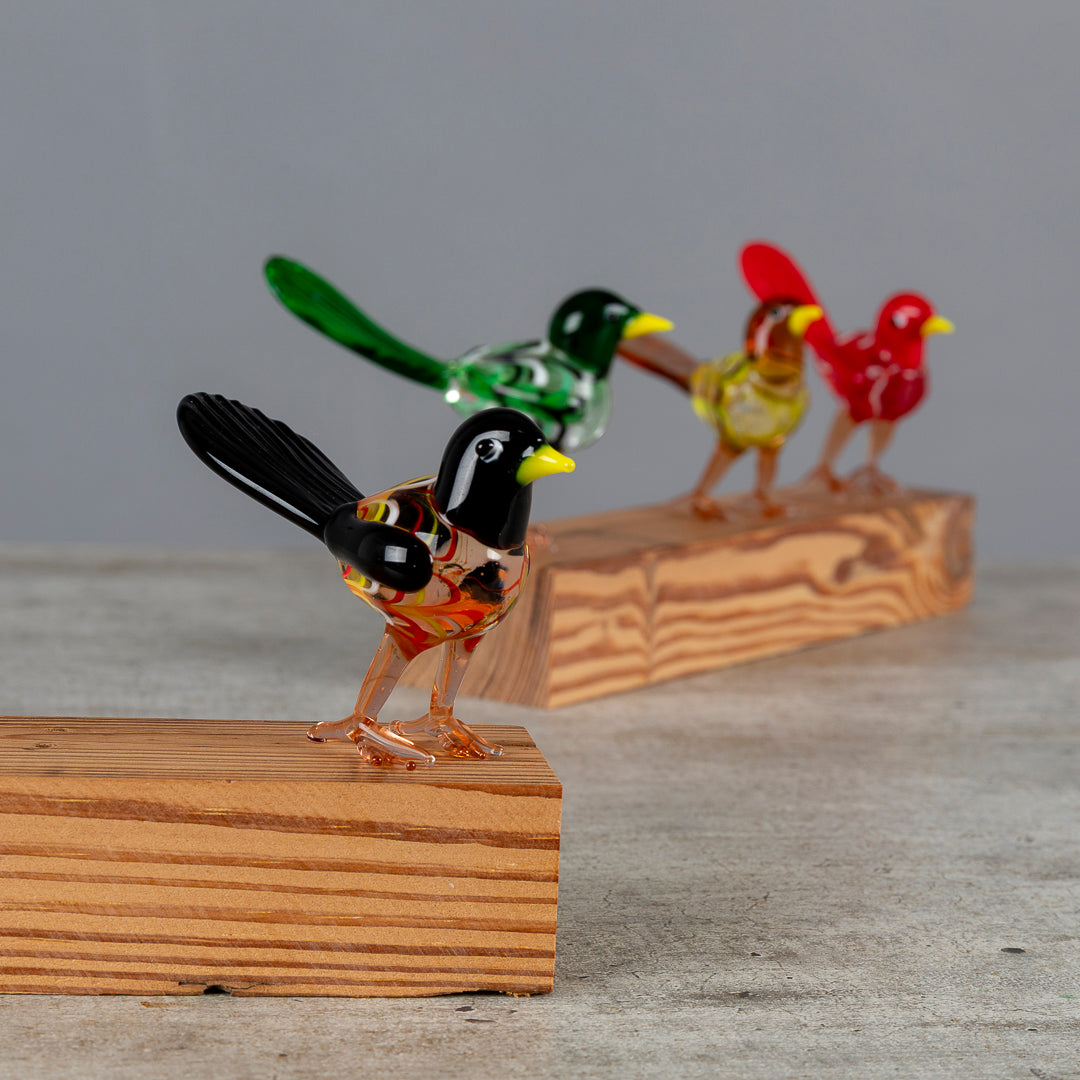 Pajaritos de Colores